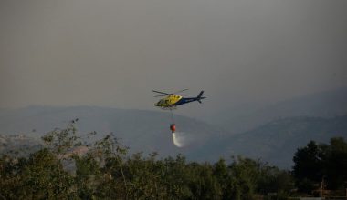 Şili’de meydana gelen orman yangınlarında ölü sayısı 64’e yükseldi