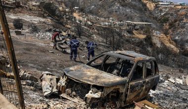 Şili’de orman yangınları: Ölü sayısı 112 oldu