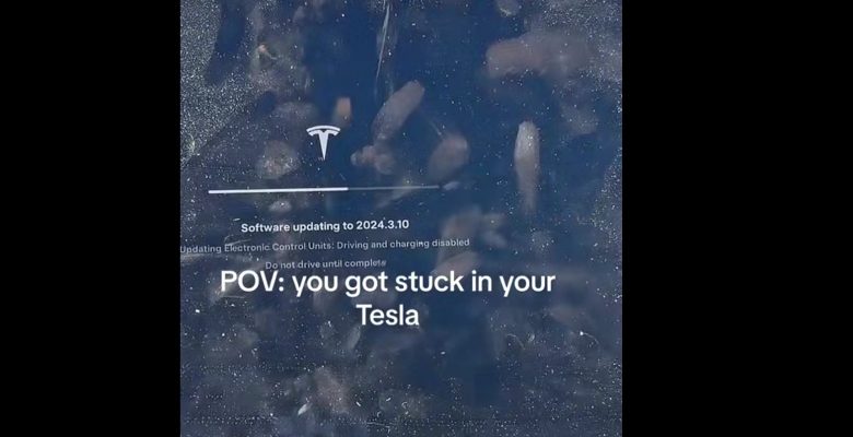Tesla, yazılım güncellemesi sırasında aracı kilitliyor mu?